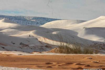 Пустыню Сахару неожиданно засыпало снегом. Фото - vkcyprus.com - Белоруссия - Алжир - Гродно
