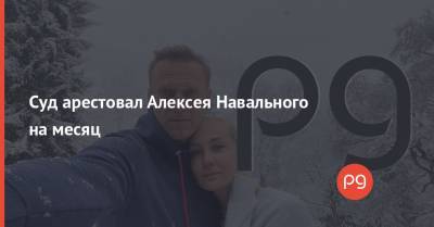 Алексей Навальный - Суд арестовал Алексея Навального на месяц - thepage.ua - Химки