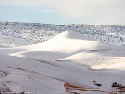 «И такое бывает»: в Сахаре выпал снег (ФОТО) - enovosty.com - Алжир