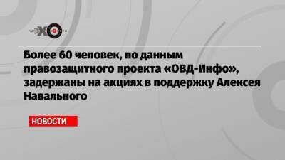 Алексей Навальный - Елена Морозова - Более 60 человек, по данным правозащитного проекта «ОВД-Инфо», задержаны на акциях в поддержку Алексея Навального - echo.msk.ru - Москва - Санкт-Петербург - Московская обл. - Зеленоград - Иркутск - Архангельск