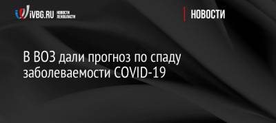 Наталья Пшеничная - Мелита Вуйнович - В ВОЗ дали прогноз по спаду заболеваемости COVID-19 - ivbg.ru