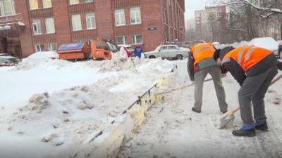 Жилком зафиксировал нарушения по уборке дворов в Красногвардейском и Красносельском районах - piter.tv - Санкт-Петербург