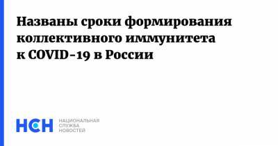 Денис Мантуров - Владимир Болибок - Названы сроки формирования коллективного иммунитета к COVID-19 в России - nsn.fm