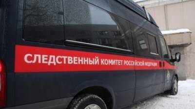 Ростовская бабушка утопила внука в ведре и выбросила тело во двор - inforeactor.ru - Южно-Сахалинск