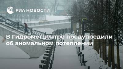 Роман Вильфанд - В Гидрометцентре предупредили об аномальном потеплении - ria.ru - Москва - Россия