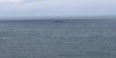 Крушение сухогруза Arvin: спасатели обнаружили тела двух украинцев - nv.ua - Турция - Черное Море