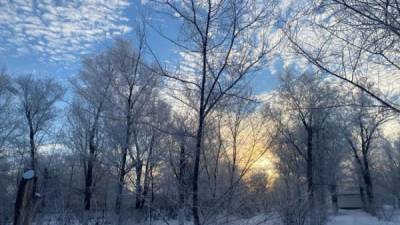 Погода в Соль-Илецке на неделю: стихнут ветра и ослабнет мороз - glob-news.ru