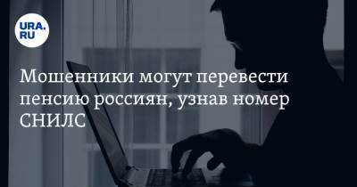 Павел Сигал - Мошенники могут перевести пенсию россиян, узнав номер СНИЛС - ura.news