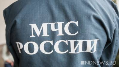 Зоя Осколкова - В Якутии произошло четыре землетрясения - newdaynews.ru - Москва - респ. Саха - Якутск - Одесса