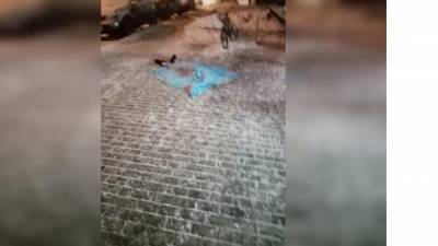 Ночью из окна многоэтажки в Мурино выпала молодая девушка - piter.tv - Санкт-Петербург