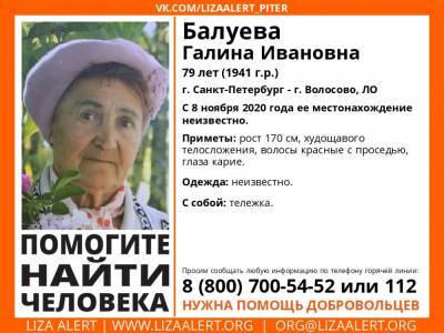 В Ленобласти более двух месяцев ищут без вести пропавшую 79-летнюю пенсионерку - ivbg.ru - Ленинградская обл.