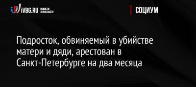 Подросток, обвиняемый в убийстве матери и дяди, арестован в Санкт-Петербурге на два месяца - ivbg.ru - Россия - Санкт-Петербург