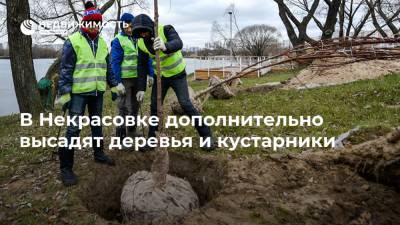 Лев Яшин - В Некрасовке дополнительно высадят деревья и кустарники - realty.ria.ru - Москва