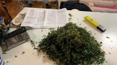 В частном доме в Озерках обнаружили плантацию конопли - piter.tv - Санкт-Петербург