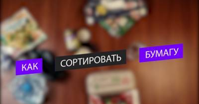 Разделяй по правилам: как калининградцам нужно сортировать макулатуру (видео) - klops.ru - Калининград