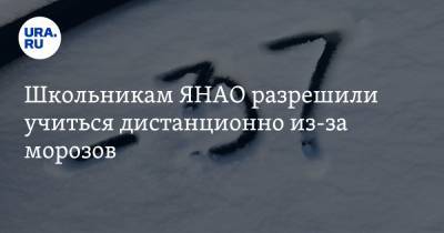 Школьникам ЯНАО разрешили учиться дистанционно из-за морозов - ura.news - Ноябрьск - окр. Янао