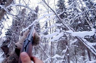 Керівник Чернівецького прикордонного загону влаштував «п’яне» полювання з контрабандистами, - ЗМІ - from-ua.com - Україна