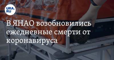 В ЯНАО возобновились ежедневные смерти от коронавируса - ura.news - Салехард - окр. Янао