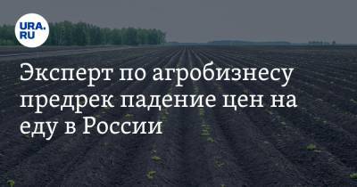 Эксперт по агробизнесу предрек падение цен на еду в России - ura.news