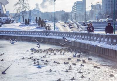 В Беларуси за сутки гололедные и холодовые травмы получили 207 человек - 1prof.by - Белоруссия - Могилевская обл.