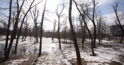 В Украину идет резкое потепление: синоптики рассказали, когда ждать повышения температуры - tsn.ua