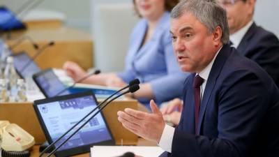 Вячеслав Володин - «Хватит принимать позу страуса»: спикер Госдумы обрушился с критикой на США под аплодисменты депутатов - newdaynews.ru - США