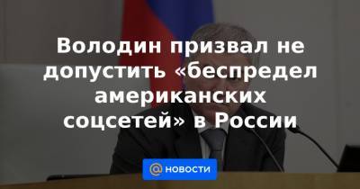 Володин призвал не допустить «беспредел американских соцсетей» в России - news.mail.ru
