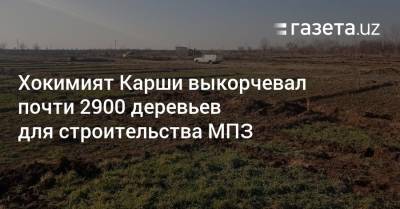Хокимият Карши выкорчевал почти 2900 деревьев для строительства МПЗ - gazeta.uz