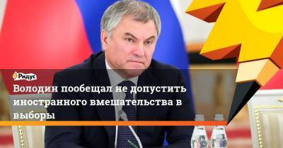 Вячеслав Володин - Володин пообещал не допустить иностранного вмешательства в выборы - ridus.ru - США
