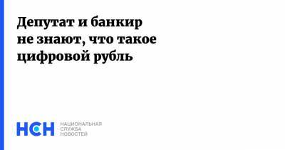 Эльвира Набиуллина - Депутат и банкир не знают, что такое цифровой рубль - nsn.fm