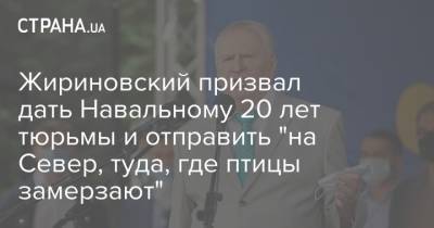 Алексей Навальный - Владимир Жириновский - Жириновский призвал дать Навальному 20 лет тюрьмы и отправить "на Север, туда, где птицы замерзают" - strana.ua - Москва