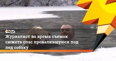 Журналист во время съемок сюжета спас провалившуюся под лед собаку - ridus.ru - Белгородская обл.