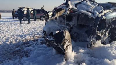 Выжившего при падении вертолёта под Воронежем выписали из больницы - vestivrn.ru - Воронеж