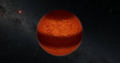 Астрономы обнаружили коричневого карлика, похожего на Юпитер - focus.ua