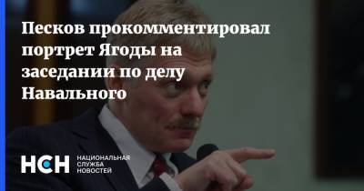 Владимир Путин - Алексей Навальный - Дмитрий Песков - Песков прокомментировал портрет Ягоды на заседании по делу Навального - nsn.fm - Москва