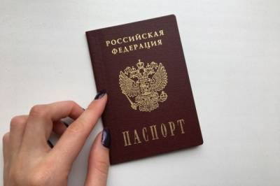 В МВД предложили вручать вместе с паспортом России издание Конституции - aif.ru