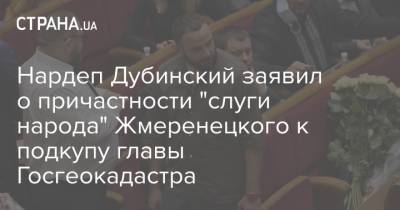 Александр Дубинский - Роман Лещенко - Нардеп Дубинский заявил о причастности "слуги народа" Жмеренецкого к подкупу главы Госгеокадастра - strana.ua - Хмельницкая обл.