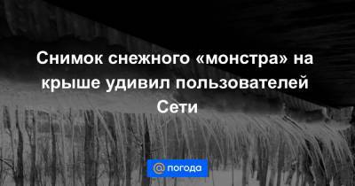 Анна Лысенко - Снимок снежного «монстра» на крыше удивил пользователей Сети - news.mail.ru - США - Япония
