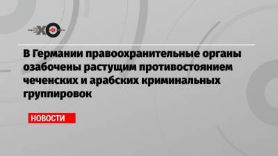 В Германии правоохранительные органы озабочены растущим противостоянием чеченских и арабских криминальных группировок - echo.msk.ru - Берлин - респ. Чечня