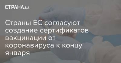 Страны ЕС согласуют создание сертификатов вакцинации от коронавируса к концу января - strana.ua