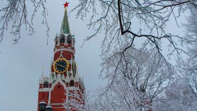 Владимир Путин - Дмитрий Песков - Илон Маск - Песков заявил, что у Путина нет "дворца" за 100 миллиардов рублей - nation-news.ru