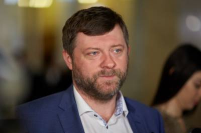 В "Слуге народа" рассказали, когда Рада займется законом о референдуме - newsone.ua