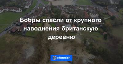 Бобры спасли от крупного наводнения британскую деревню - news.mail.ru - Англия