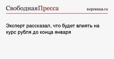 Владимир Григорьев - Эксперт рассказал, что будет влиять на курс рубля до конца января - svpressa.ru - США