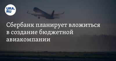 Виталий Савельев - Сбербанк планирует вложиться в создание бюджетной авиакомпании - ura.news
