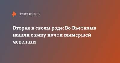 Вторая в своем роде: Во Вьетнаме нашли самку почти вымершей черепахи - ren.tv - США - шт. Южная Каролина - Вьетнам