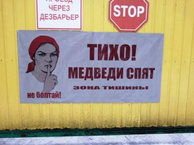 «Тихо! Медведи спят»: в Ленобласти появилось такое предупреждение - abnews.ru - Ленинградская обл. - район Тосненский