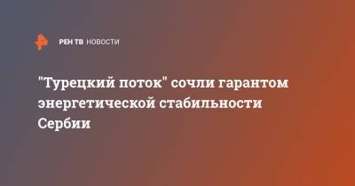 Ивица Дачич - "Турецкий поток" сочли гарантом энергетической стабильности Сербии - ren.tv - Венгрия - Болгария - Сербия