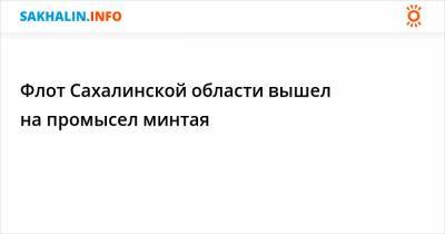 Флот Сахалинской области вышел на промысел минтая - sakhalin.info - Сахалинская обл.