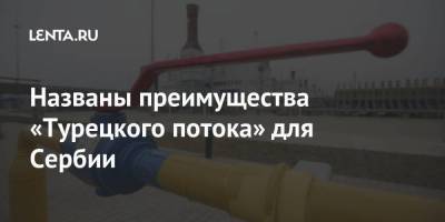 Названы преимущества «Турецкого потока» для Сербии - smartmoney.one - Россия - Китай - Украина - Венгрия - Сербия
